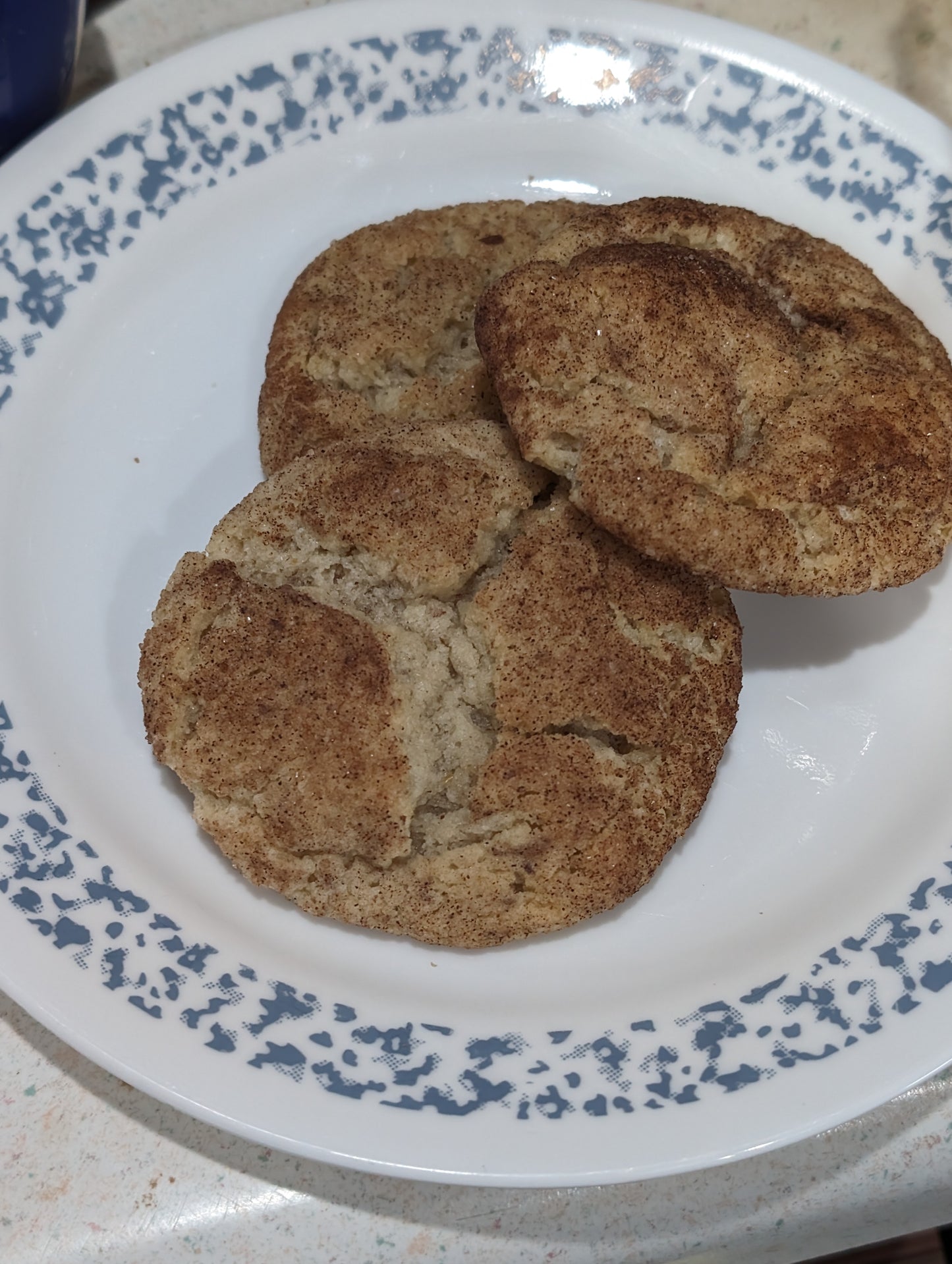 Vegan Snickerdoodle Cookies