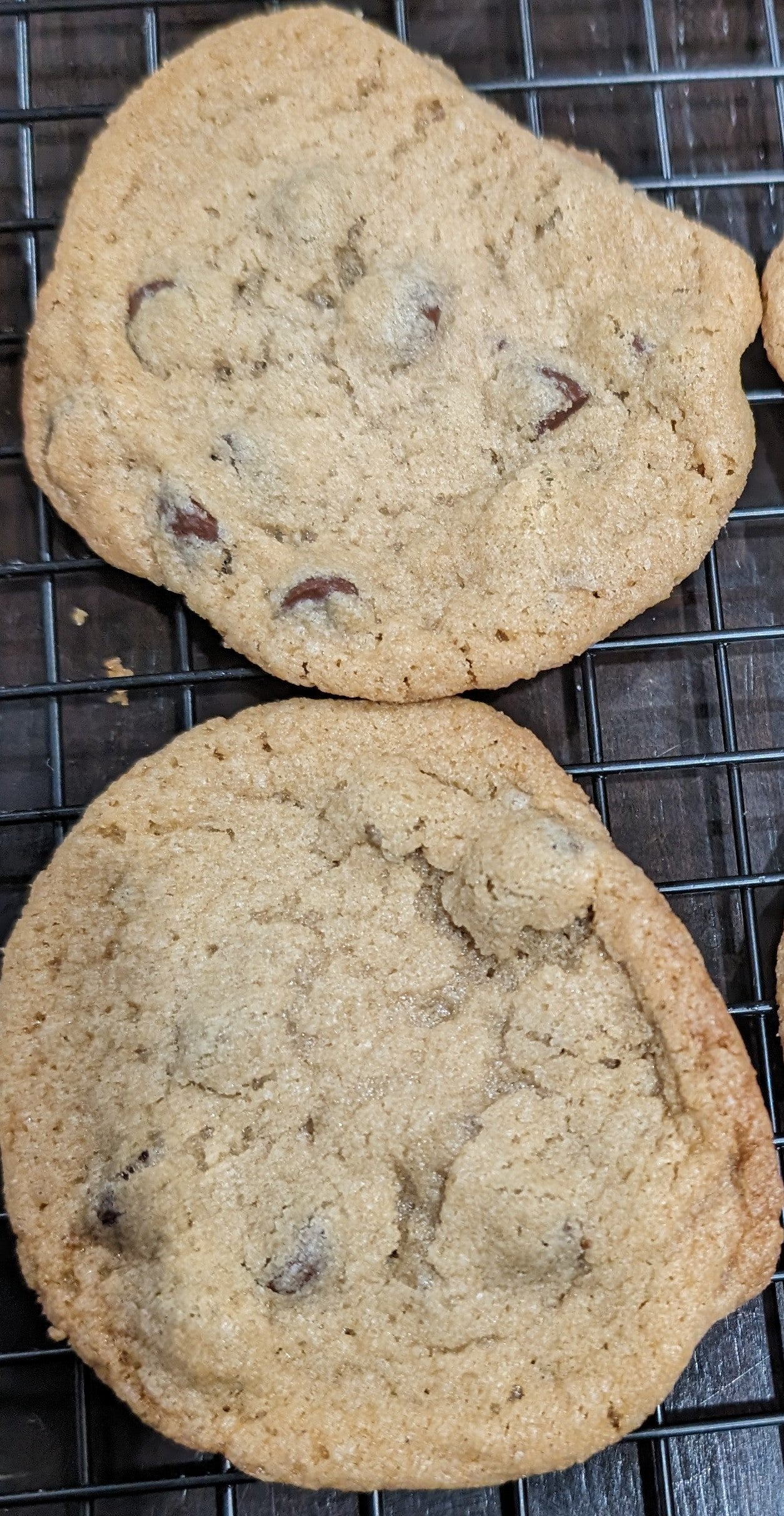 Gluten-Free Chocolate Chip Cookies